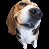 NEXTBOT OBUNGA COMO PEATÓN (SE PODRA REEMPLAZAR TXD POR CUALQUIER NEXTBOT)